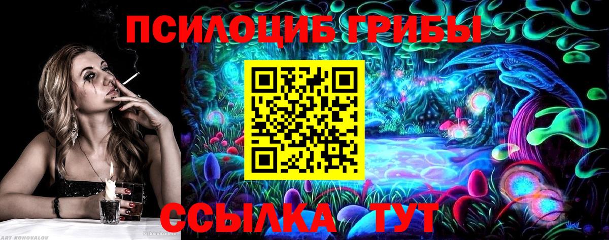 Тулун  Псилоцибиновые грибы Psilocybine cubensis  Вход с VPN 