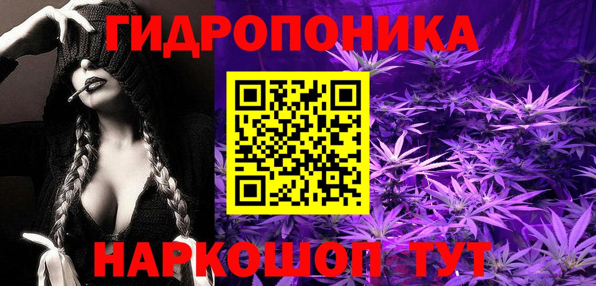 Канабис сатива  Шишки марихуана гибрид  Канабис семена  Тулун  Вход с VPN 